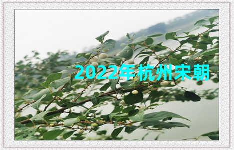 2022年杭州宋朝