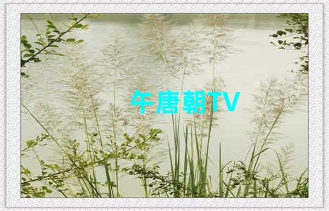 午唐朝TV