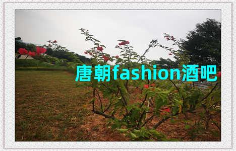 唐朝fashion酒吧