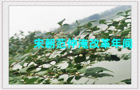 宋朝范仲淹改革年间